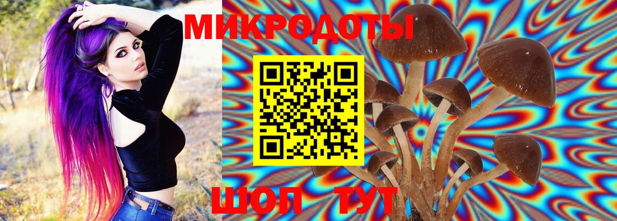 Псилоцибиновые грибы MAGIC MUSHROOMS  Вход с VPN  Псилоцибиновые грибы Psilocybine cubensis  Шебекино 